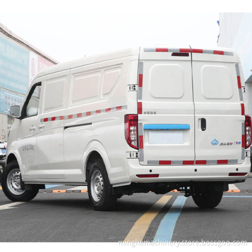 EV ELECTRAL ELECTRY HOT SALE NEDC 305km Transport Van Sea Lion جديد